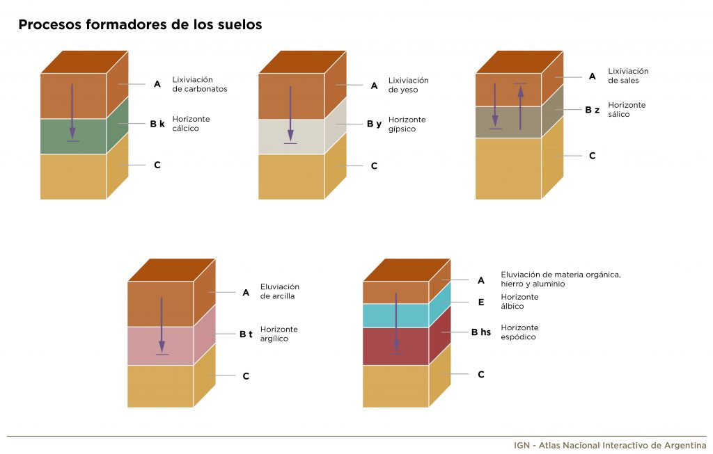 Ilustración gráfica de procesos formadores de los suelos
